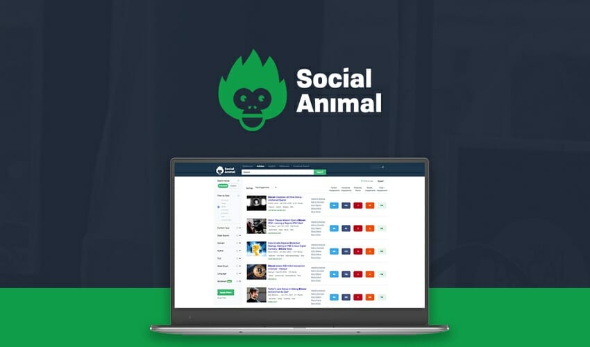 Social Animal Lifetime Deal