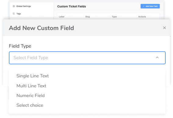 custom Field 1